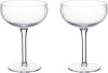 Trendhopper Cocktailglas Ribble set van 2 online kopen