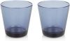Iittala Kartio Glas 210 ml Set van 2 Regenblauw online kopen
