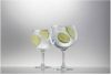 Schott Zwiesel Bar Special Gin Tonic glas 80 0.7 Ltr set van 2 online kopen