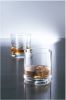 Schott Zwiesel Whiskey Glas Tavoro 315 ml 4 stuks online kopen
