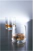 Schott Zwiesel Whiskey Glas Tavoro 315 Ml 4 Stuks online kopen