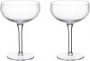 Trendhopper Cocktailglas Ribble set van 2 online kopen