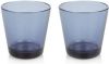 Iittala Kartio drinkglazen 21 cl, 2 pack rain(lichtblauw ) online kopen