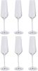 LEONARDO Champagneglas 6 delig(set, 6 delig ) online kopen