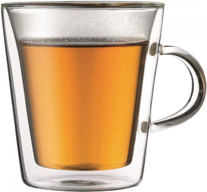 Downtown Natte sneeuw zegevierend Bodum Canteen Dubbelwandige Theeglazen Met Oor Medium 0, 2 Liter Set Van 2  - Glazen.shop