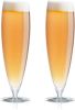 Eva Solo Bierglas Groot 500 ml Set van 2 Stuks online kopen