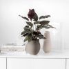 Villeroy & Boch Manufacture Collier Vaas Perle Groot Taupe online kopen