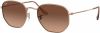 Ray-Ban Hexagonal Flat Lenses Polarized Sunglasses Ray Ban, Bruin, Dames online kopen