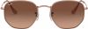 Ray-Ban Hexagonal Flat Lenses Polarized Sunglasses Ray Ban, Bruin, Dames online kopen