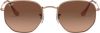 Ray-Ban Hexagonal Flat Lenses Polarized Sunglasses Ray Ban, Bruin, Dames online kopen