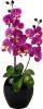 I.GE.A. Kunstplant Vlinderorchidee in vaas online kopen