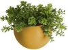 Present Time Bloempotten Wall plant pot Globe ceramic matt white Wit online kopen