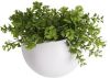 Present Time Bloempotten Wall plant pot Globe ceramic matt white Wit online kopen