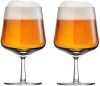 Iittala Essence Bierglas 480 ml Set van 2 Helder online kopen