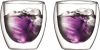 Bodum Pavina Dubbelwandig Glas 0, 25 Liter 2 Stuks online kopen