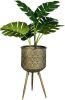 Dutchbone Plantenbak Botanique L 53 x Ø28,5 online kopen