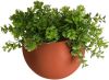 Present Time Bloempotten Wall plant pot Globe ceramic matt white Wit online kopen